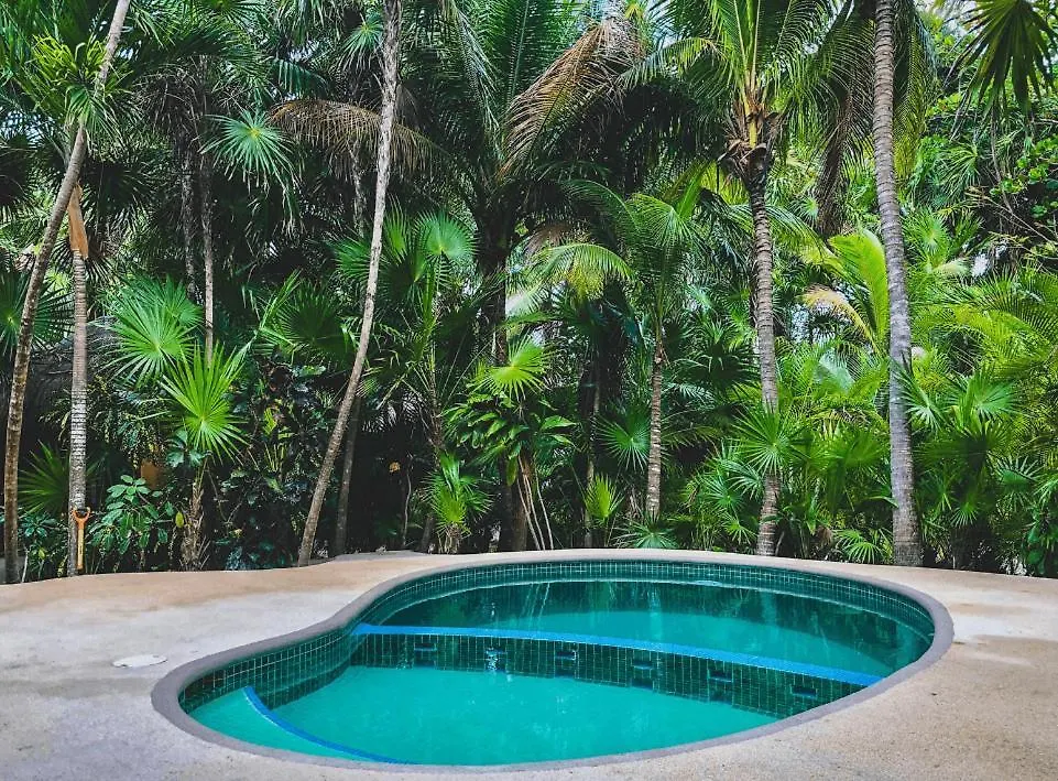 Charming 2 Bedrooms Private Villa In Soliman Bay Tulum